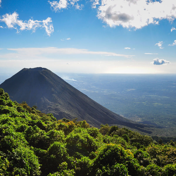 シングルオリジン 温泉コーヒー ピーベリー