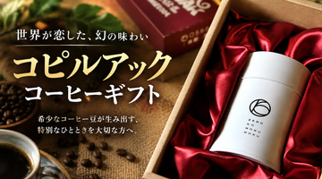コーヒーギフトにコピルアックを｜希少なコピルアクの魅力と選び方