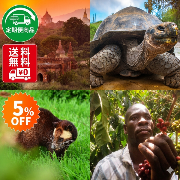 【定期便限定：送料無料】月替わりシングルオリジン（リベリカ/コピルアック/ガラパゴス クイーン/ミャンマー バガン）