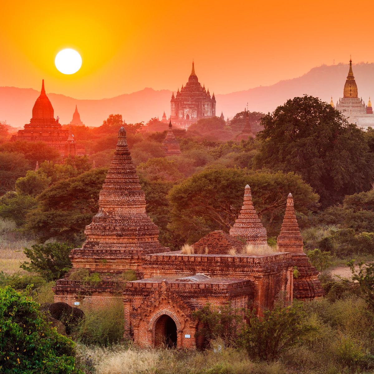 シングルオリジン ミャンマー バガン – 0566珈琲製作所